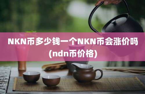 NKN币多少钱一个NKN币会涨价吗(ndn币价格)