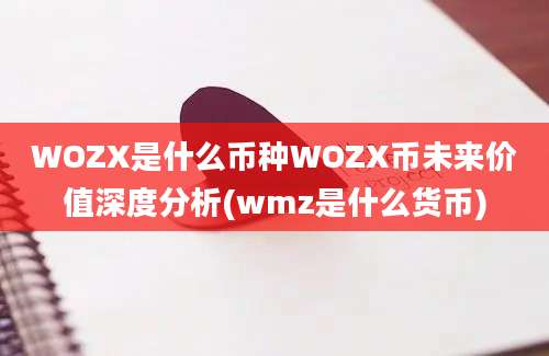 WOZX是什么币种WOZX币未来价值深度分析(wmz是什么货币)