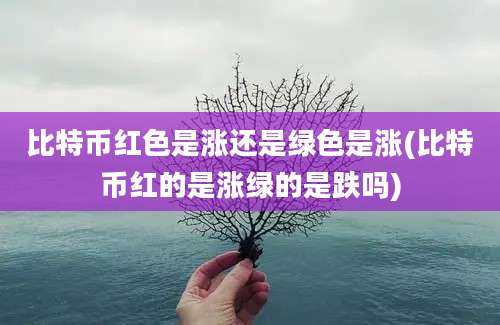 比特币红色是涨还是绿色是涨(比特币红的是涨绿的是跌吗)