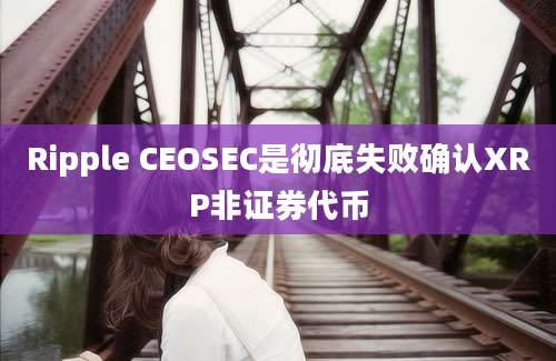 Ripple CEOSEC是彻底失败确认XRP非证券代币