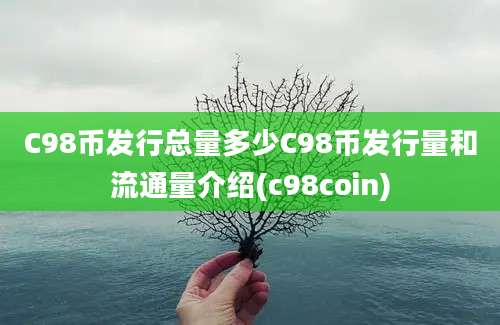 C98币发行总量多少C98币发行量和流通量介绍(c98coin)