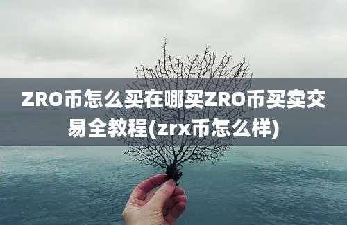 ZRO币怎么买在哪买ZRO币买卖交易全教程(zrx币怎么样)