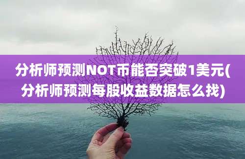 分析师预测NOT币能否突破1美元(分析师预测每股收益数据怎么找)