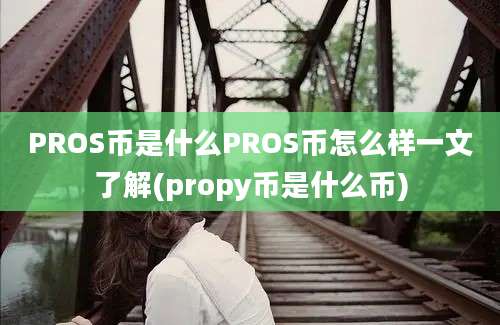 PROS币是什么PROS币怎么样一文了解(propy币是什么币)