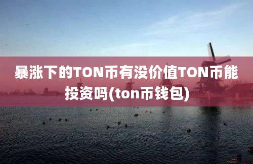 暴涨下的TON币有没价值TON币能投资吗(ton币钱包)