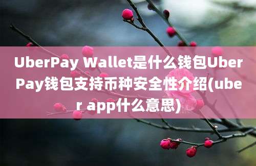 UberPay Wallet是什么钱包UberPay钱包支持币种安全性介绍(uber app什么意思)