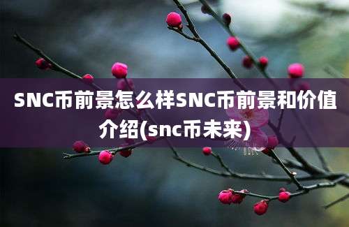 SNC币前景怎么样SNC币前景和价值介绍(snc币未来)