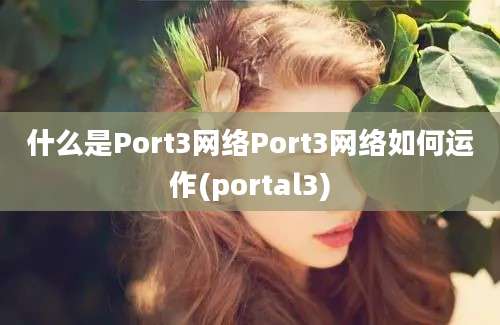 什么是Port3网络Port3网络如何运作(portal3)