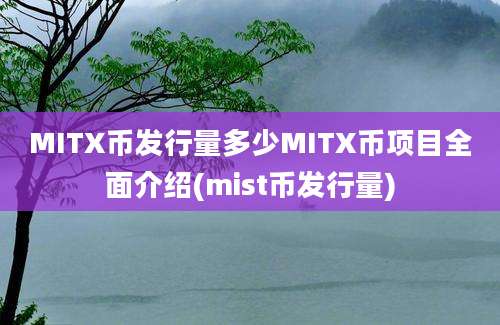 MITX币发行量多少MITX币项目全面介绍(mist币发行量)