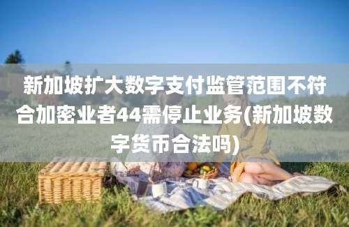 新加坡扩大数字支付监管范围不符合加密业者44需停止业务(新加坡数字货币合法吗)