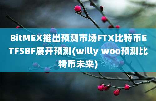 BitMEX推出预测市场FTX比特币ETFSBF展开预测(willy woo预测比特币未来)