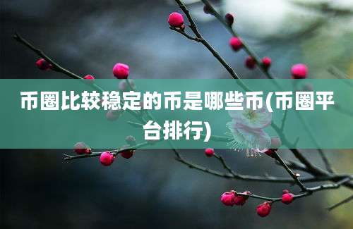 币圈比较稳定的币是哪些币(币圈平台排行)