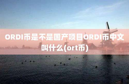 ORDI币是不是国产项目ORDI币中文叫什么(ort币)