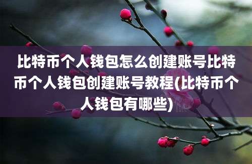 比特币个人钱包怎么创建账号比特币个人钱包创建账号教程(比特币个人钱包有哪些)