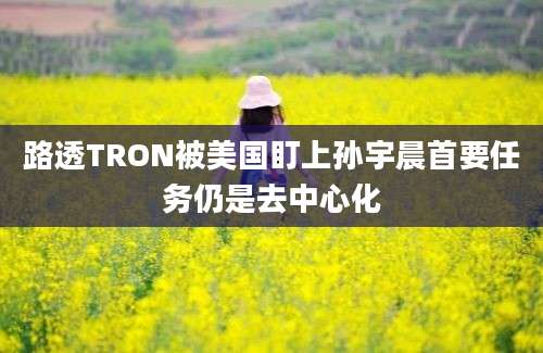 路透TRON被美国盯上孙宇晨首要任务仍是去中心化