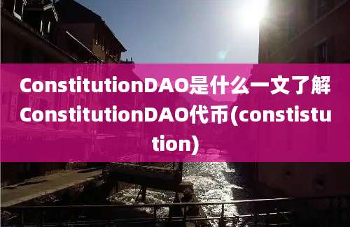 ConstitutionDAO是什么一文了解ConstitutionDAO代币(constistution)