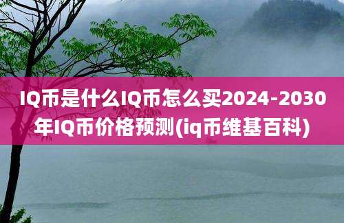 IQ币是什么IQ币怎么买2024-2030年IQ币价格预测(iq币维基百科)