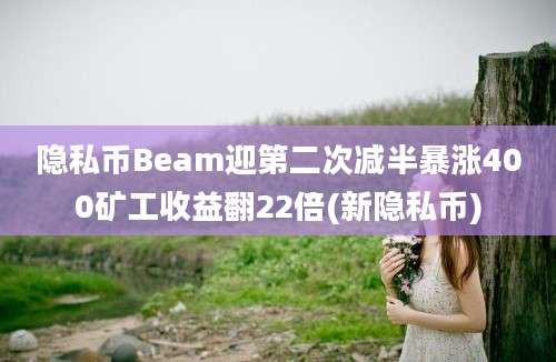 隐私币Beam迎第二次减半暴涨400矿工收益翻22倍(新隐私币)