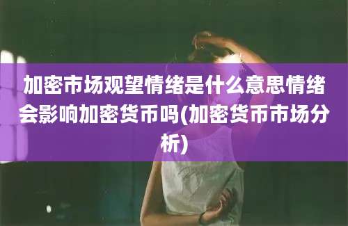 加密市场观望情绪是什么意思情绪会影响加密货币吗(加密货币市场分析)