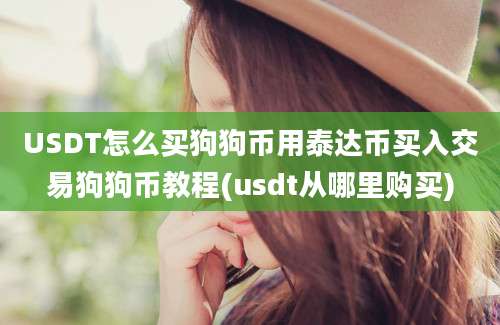 USDT怎么买狗狗币用泰达币买入交易狗狗币教程(usdt从哪里购买)