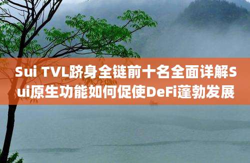 Sui TVL跻身全链前十名全面详解Sui原生功能如何促使DeFi蓬勃发展