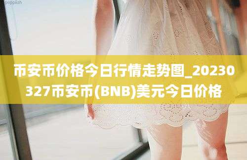 币安币价格今日行情走势图_20230327币安币(BNB)美元今日价格