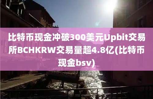 比特币现金冲破300美元Upbit交易所BCHKRW交易量超4.8亿(比特币现金bsv)