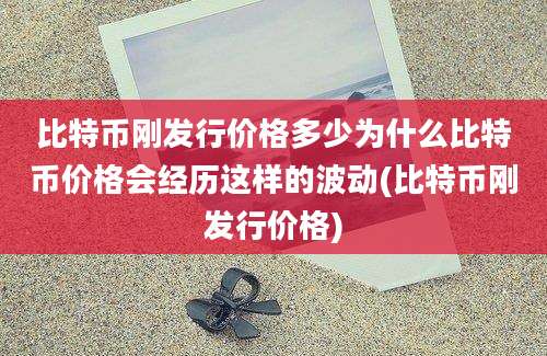 比特币刚发行价格多少为什么比特币价格会经历这样的波动(比特币刚发行价格)