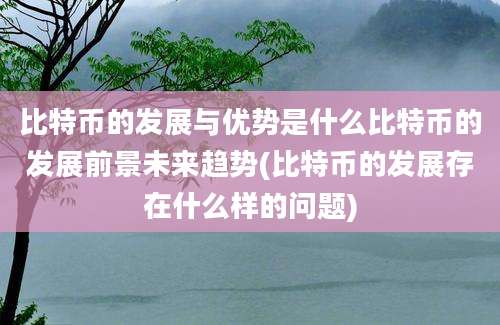 比特币的发展与优势是什么比特币的发展前景未来趋势(比特币的发展存在什么样的问题)