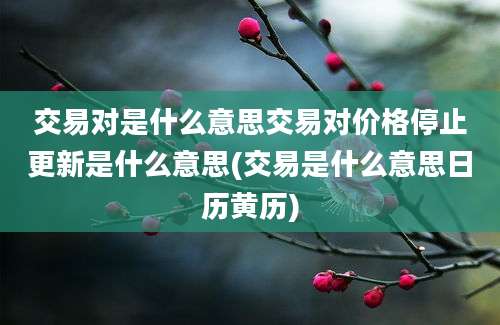 交易对是什么意思交易对价格停止更新是什么意思(交易是什么意思日历黄历)