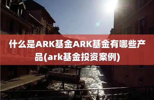 什么是ARK基金ARK基金有哪些产品(ark基金投资案例)