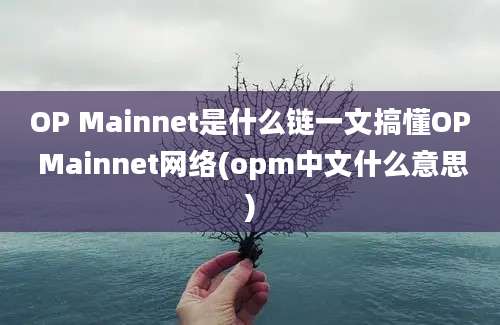 OP Mainnet是什么链一文搞懂OP Mainnet网络(opm中文什么意思)