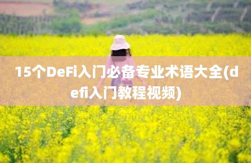 15个DeFi入门必备专业术语大全(defi入门教程视频)