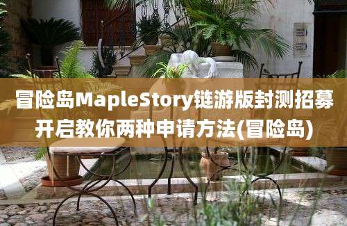 冒险岛MapleStory链游版封测招募开启教你两种申请方法(冒险岛)