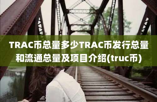 TRAC币总量多少TRAC币发行总量和流通总量及项目介绍(truc币)