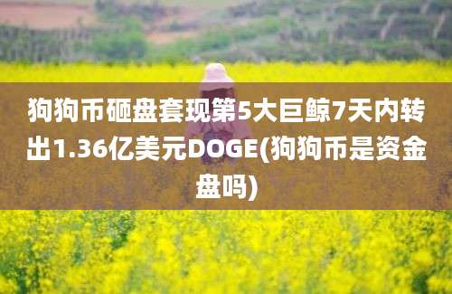 狗狗币砸盘套现第5大巨鲸7天内转出1.36亿美元DOGE(狗狗币是资金盘吗)