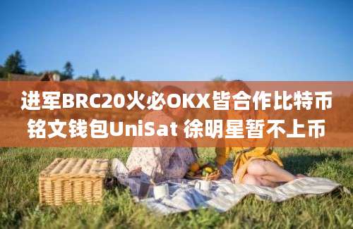 进军BRC20火必OKX皆合作比特币铭文钱包UniSat 徐明星暂不上币