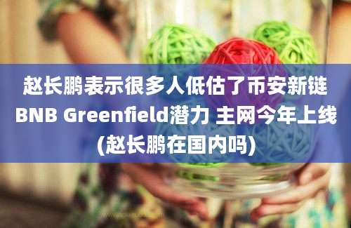 赵长鹏表示很多人低估了币安新链BNB Greenfield潜力 主网今年上线(赵长鹏在国内吗)