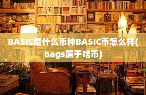 BASIC是什么币种BASIC币怎么样(bags属于啥币)