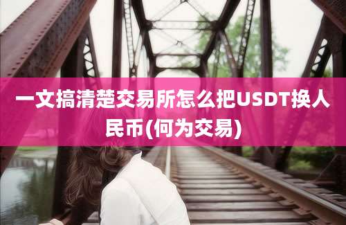 一文搞清楚交易所怎么把USDT换人民币(何为交易)