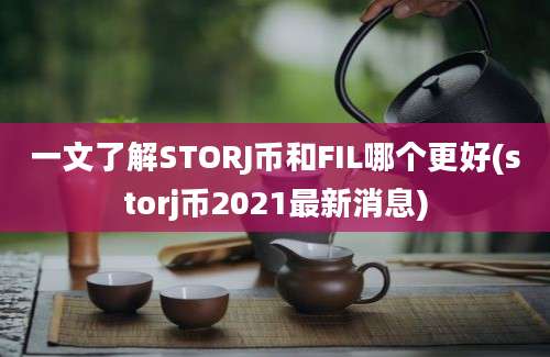 一文了解STORJ币和FIL哪个更好(storj币2021最新消息)