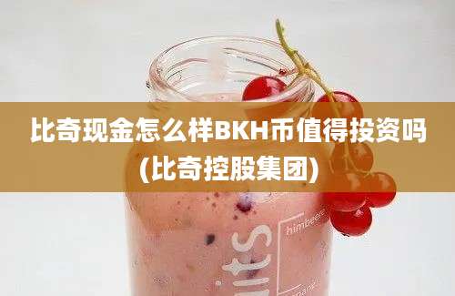 比奇现金怎么样BKH币值得投资吗(比奇控股集团)