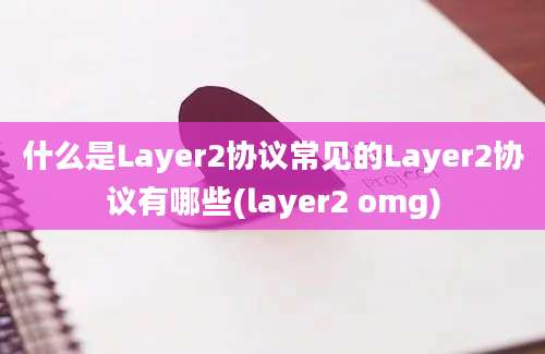 什么是Layer2协议常见的Layer2协议有哪些(layer2 omg)