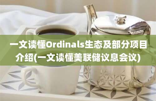 一文读懂Ordinals生态及部分项目介绍(一文读懂美联储议息会议)