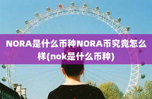 NORA是什么币种NORA币究竟怎么样(nok是什么币种)