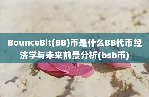 BounceBit(BB)币是什么BB代币经济学与未来前景分析(bsb币)