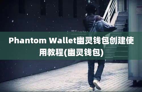 Phantom Wallet幽灵钱包创建使用教程(幽灵钱包)