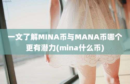 一文了解MINA币与MANA币哪个更有潜力(mina什么币)