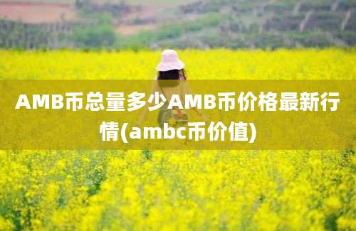 AMB币总量多少AMB币价格最新行情(ambc币价值)