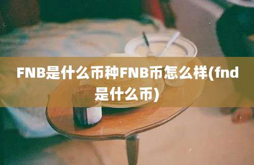 FNB是什么币种FNB币怎么样(fnd是什么币)